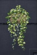 Million Hearts 92-84168